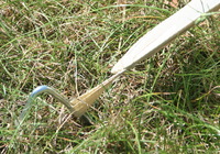 Camping-Freizeit-Sonnensegel (1) 3 x 3 x 2,5 m - sandfarben